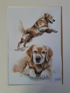 Art hand Auction perro perdiguero de oro de acuarela, cuadro, acuarela, dibujo de animales