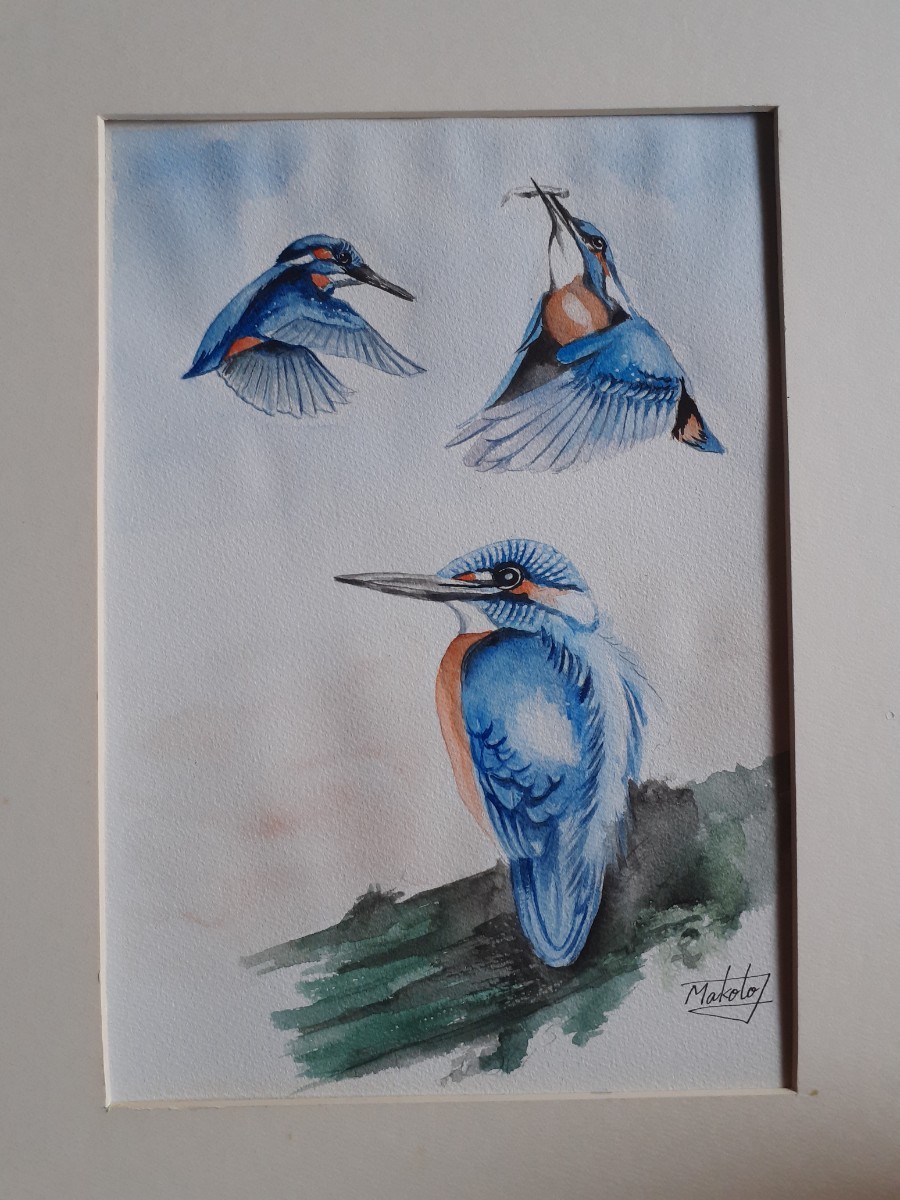 Aquarell-Eisvogel, Malerei, Aquarell, Tierzeichnung