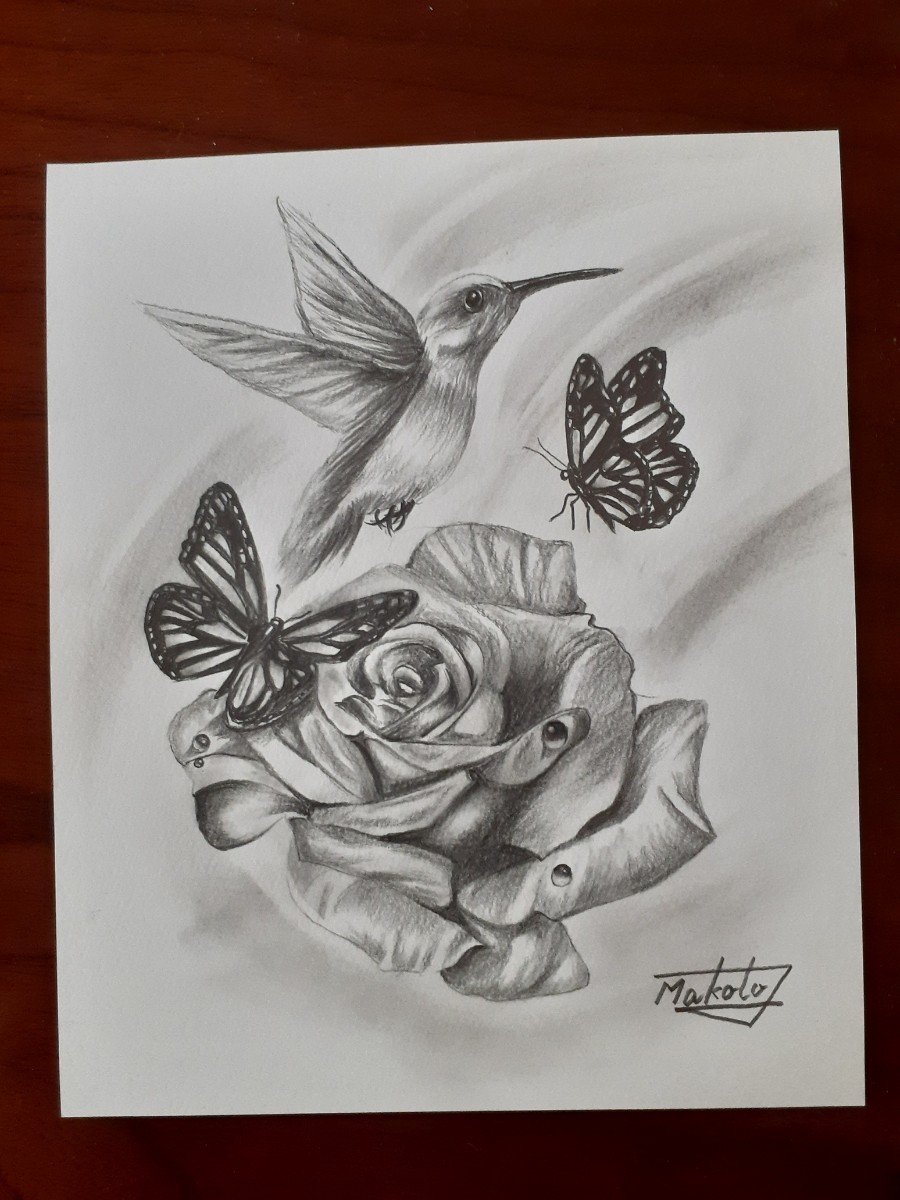 Bleistiftzeichnung eines Kolibris, Rose Blume und Schmetterling, Kunstwerk, Malerei, Bleistiftzeichnung, Kohlezeichnung