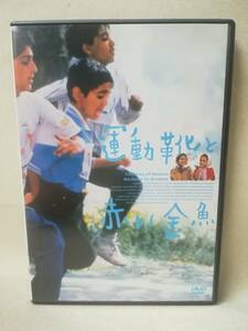 DVD 『セル版 運動靴と赤い金魚』映画/洋画/マジット・マジディ/ミル=ファロク・ハシェミアン/バハレ・セッデキ/ 08-8004