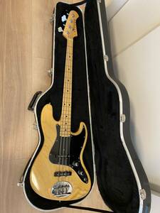 LAKLAND shoreline series SL44-60