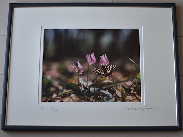 Tirage original de Mitsuhiko Imamori (b) / limité à 200 exemplaires, un autographe, ouvrages d'art, photographie d'art, Nature, paysage