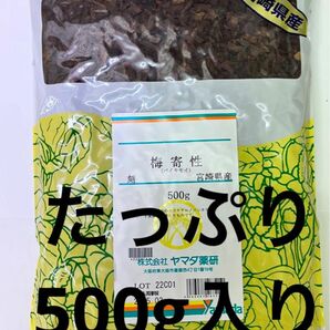 サルノコシカケ科、宮崎県産の梅奇性です。国内の製薬メーカーだから安心安全