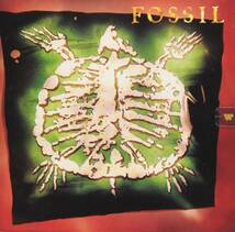 Fossil Fossil 輸入盤CD_画像1