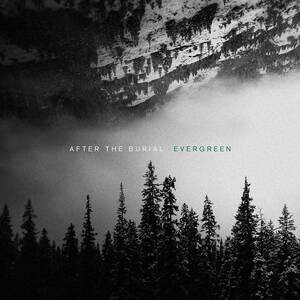 Evergreen After the Burial 輸入盤CD