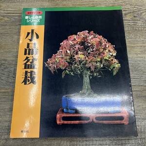 Ｚ-9266■小品盆栽（別冊盆栽世界 暮しと自然シリーズ）■盆栽作り 飾り方 植物生理■樹石社■（1981年）昭和56年10月20日発行