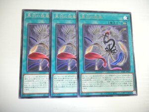 AX【遊戯王】黒羽の旋風 3枚セット レア 即決