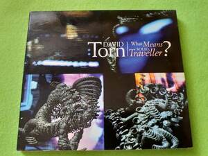 David Torn - What Means Solid, Traveller? ★CD q*si 