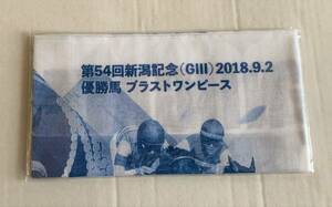 JRA 新潟競馬場 限定 ブラストワンピース 新潟記念 手ぬぐい 池添謙一 未開封