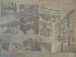 江戸東京◆報知新聞・お花見画報◆大正１２九段靖国神社上野公園飛鳥山荒川堤江戸川赤坂見附弁慶橋弁慶濠古写真不良少年色情犯罪和本古書