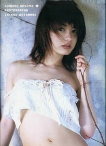 新山千春写真集「CHIHARU NIIYAMA」