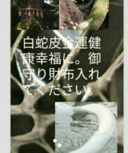 白蛇皮金運開運恋愛お守り赤い目の弁財天化身　必ず開運　全てうまくいく先生手作り