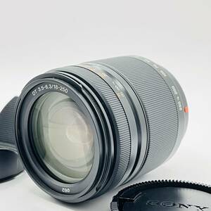 ★美品★ ソニー SONY DT 18-250mm F3.5-6.3 SAL18250 LL780#370