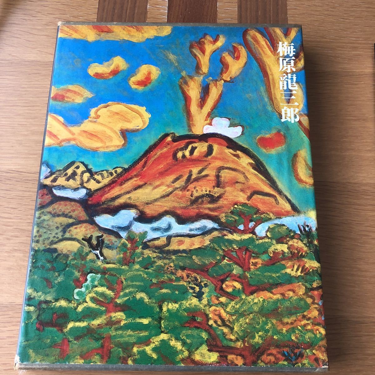 ヤフオク! - 生誕百年記念 梅原 龍三郎 豪華限定版 980部 集英社