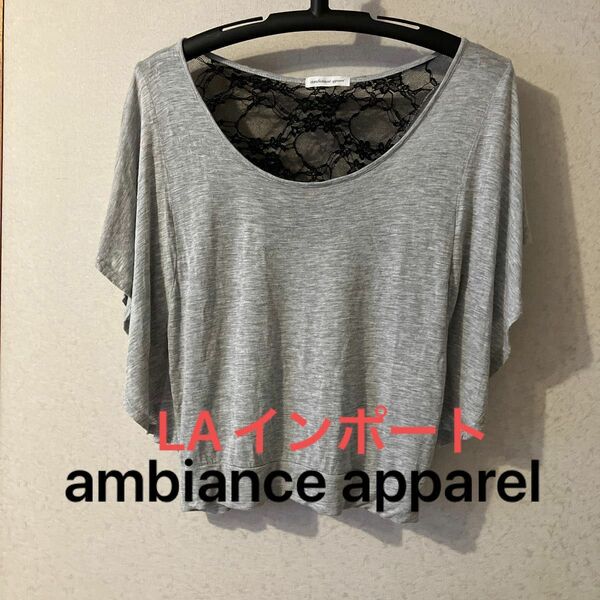 ambiance apparel 海外インポート　レディースカットソー　レースシースルー　フリル袖