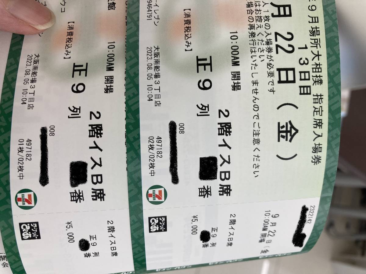 大相撲 初場所チケット 1月15日 (土曜日) 1人マスB席・正面 - 相撲/武道