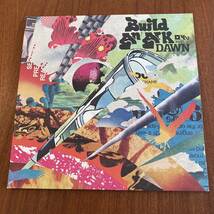 BUILD AN ARK ビルド・アン・アーク / DAWN (2LP) レコード_画像1