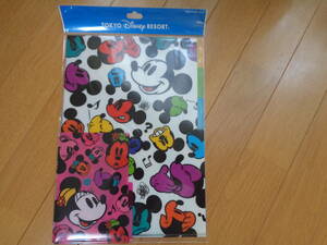  Disney * Mickey * minnie * clear holder * clear file *2 pieces set * Tokyo Disney resort * new goods *disney*A4* stylish stationery 