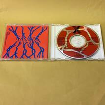 ＣＤ＜Ｘエックス＞BLUE BLOOD・エックスジャパン／中古_画像4