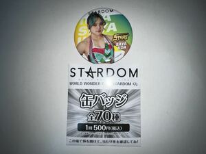 スターダム WORLD WONDER RING STARDOMくじ 缶バッジ 飯田沙耶