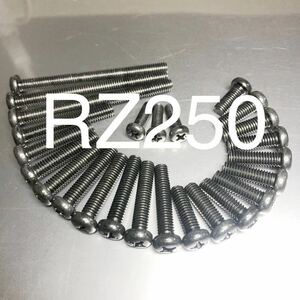 新品　RZ250 350 4L3 4UO ブラックメッキエンジンカバーボルト　純正互換ブラックメッキナベボルト　1台分25本セット！！