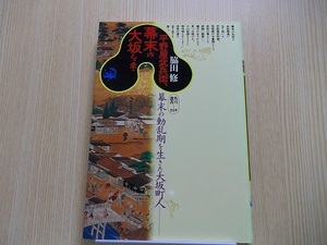 平野屋武兵衛、幕末の大坂を走る