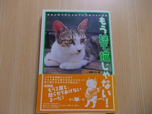 もう捨て猫じゃない！　幸せになったにゃんこたちのフォト日記