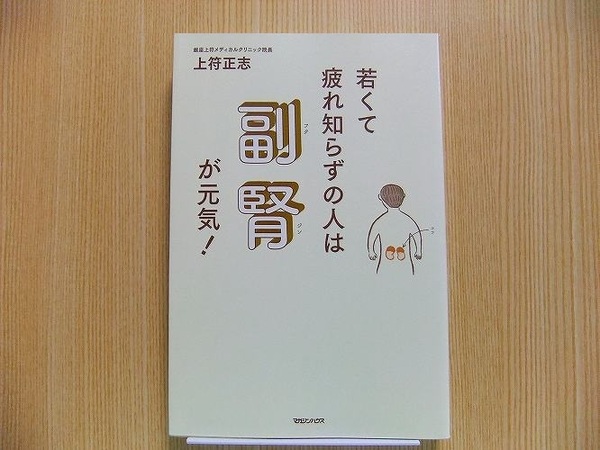 若くて疲れ知らずの人は副腎が元気！