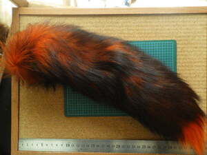 sfxd982 FOX tail　極太大容量　シルバーフォックステールコンプリート　ダイド　オレンジ