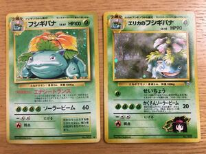 フシギバナ　エリカのフシギバナ キラ ポケモンカード 未使用 美品 旧裏面　当時物 ジム pokemon マークあり