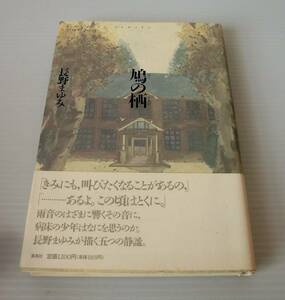 鳩の栖◇長野まゆみ 著◇初版 1996年発行 帯付◇集英社