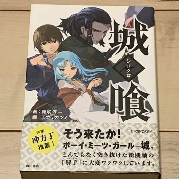 初版帯付 藤咲淳一 城喰 シロクロ 画 エナミカツミ 角川書店刊 Production I.GBLOOD攻殻機動隊