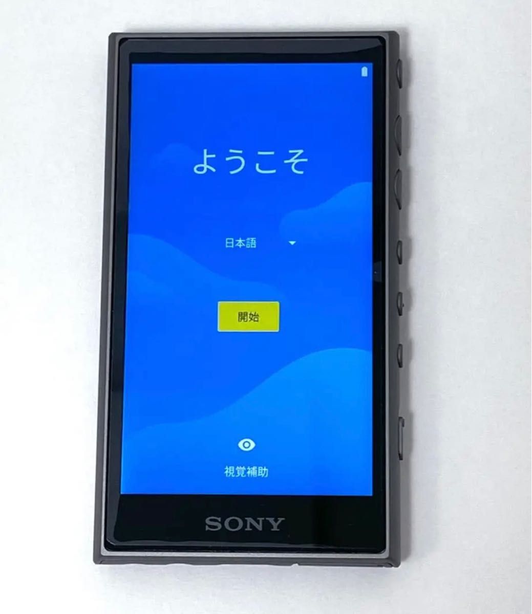 SONY ウォークマン WALKMAN Aシリーズ NW AL｜PayPayフリマ