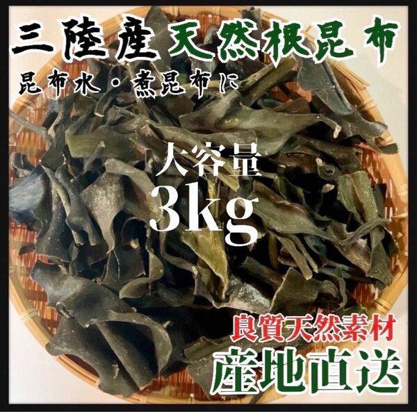 【岩手県産】乾燥根昆布　3kg 粘り強い　昆布茶　希少部位　煮物　出汁等に最適　お値打ち価格おすすめ