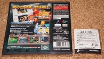 ◆新品◆NDS はじめの一歩 THE FIGHTING!DS 特典付き_画像2