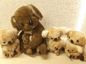 0830069s[ koala. parent . soft toy 4 set ] soft toy. three britain 1 body equipped / animal / secondhand goods 