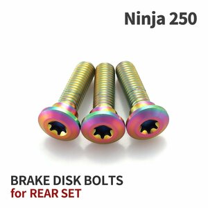 ニンジャ250 Ninja 64チタン ブレーキディスクローター ボルト リア用 3本セット M8 P1.25 カワサキ車用 レインボーカラー JA22046