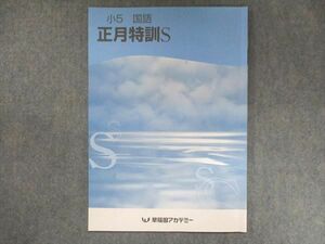 US13-026 早稲田アカデミー 小5 国語 正月特訓S 2021 04s2B