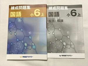 UB33-076 早稲田アカデミー 国語 小6上 練成問題集/解答解説 計2冊 15 S2B