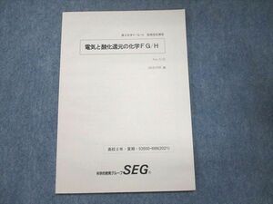 UN93-154 SEG 高2化学F/G/H 後期指定講習 電気と酸化還元の化学FG/H Ver.3.32 未使用 2021 夏期 04s0B