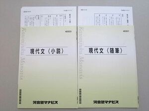 UZ37-081 河合塾マナビス 現代文(随筆/小説) 計2冊 05m0B