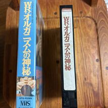 WRオルガニズムの神秘_画像2