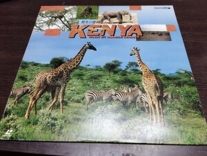 93 激レア盤　ケニア　レーザーディスク　野生の楽園　ケニヤ　kenya マサイマラ　アンボセリ国立公園　ノーマンキャンドラー