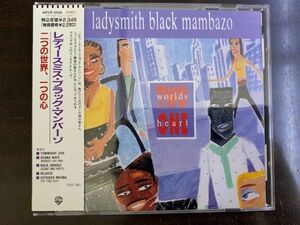  Lady's mistake * black * man bar zoLadysmith black mambazo south Africa Zoo ru group Chorus domestic record * obi attaching WPCP-3506 / 4988014735063