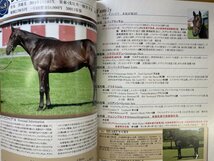 特3 82370 / 株式会社ロードサラブレッドオーナーズ 2015 募集馬一覧 2015年発行 歴代所属馬紹介 募集馬紹介 ジャズキャット'14_画像4