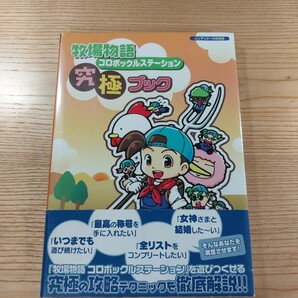 【D2233】送料無料 書籍 牧場物語 コロボックルステーション 究極ブック ( 帯 DS 攻略本 空と鈴 )