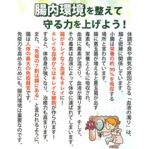 【送料無料】銀座まるかん ハイスピード毎日パワー×3 ガリガリどろんお試しセット（can1103）_画像8