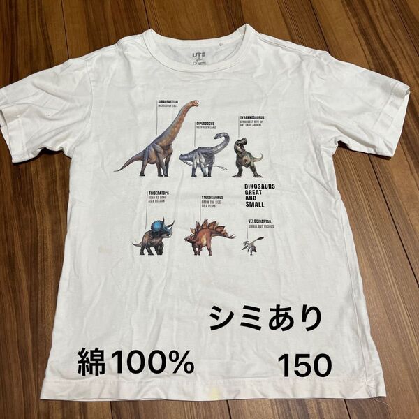 シミあり UNIQLO 恐竜Tシャツ ダイナソー ジェラシックパーク size150 綿100%