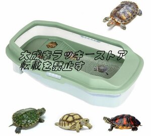  shop manager special selection turtle aquarium turtle tanker large turtle aquarium . mileage prevention breeding box many head .. breeding case amphibia for box turtle raw . ground breeding container F1491