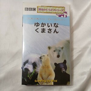 zaa-vd19♪Growing Up Wild ゆかいなくまさん～BBC野生の動物シリーズ　日本語と英語でたのしく見ちゃおう! 30分